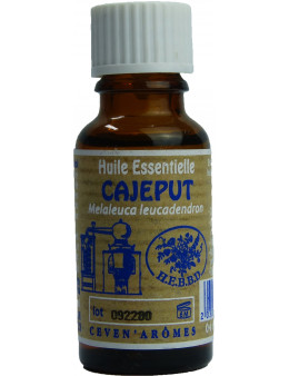 Huile essentielle de Cajeput