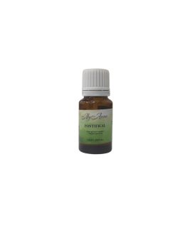 Huile Parfumé Providence Pontifical - Camphre - 10 mL
