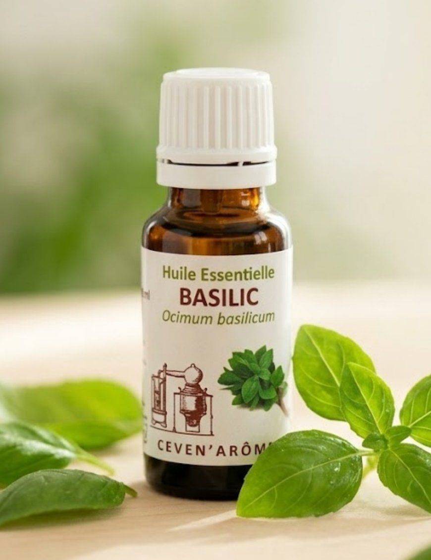 Huile essentielle de Basilic - 20 mL