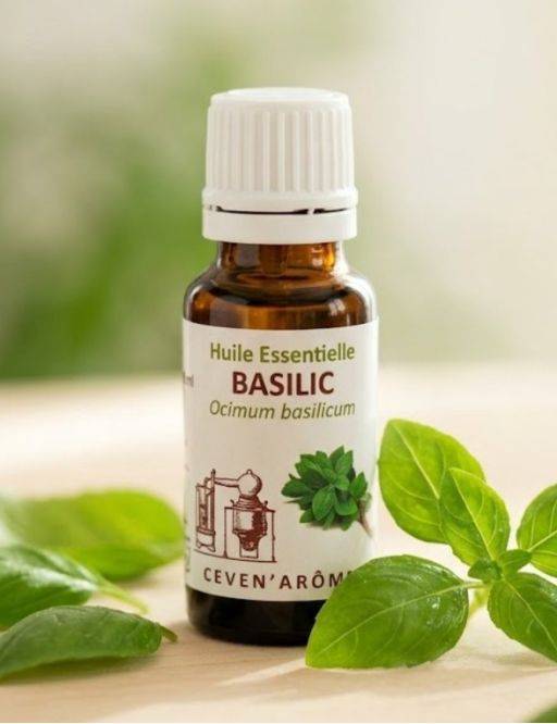 Huile essentielle de Basilic - 20 mL